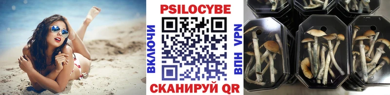 Галлюциногенные грибы мухоморы  Севастополь 